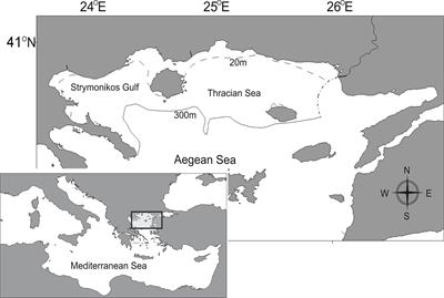 Drivers of the North Aegean Sea Ecosystem (Eastern Mediterranean) Through Time: Insights From Multidecadal Retrospective Analysis and Future Simulations